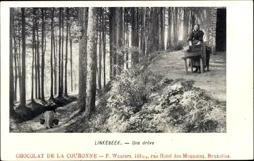 Ak Linkebeek Flämisch Brabant, Une dreve, Frau mit Zuber