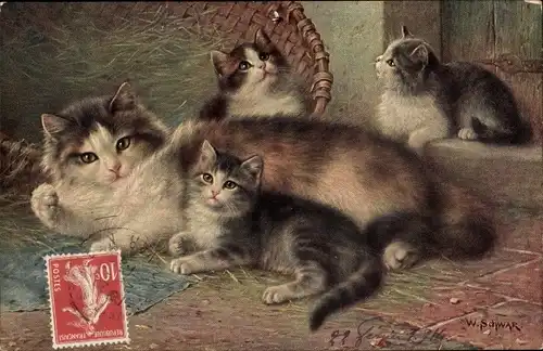 Künstler Ak Schwar, W., Katze mit drei jungen Kätzchen