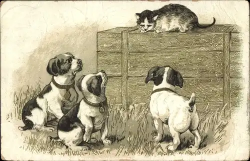 Künstler Ak Drei Terrierwelpen beobachten eine junge Katze