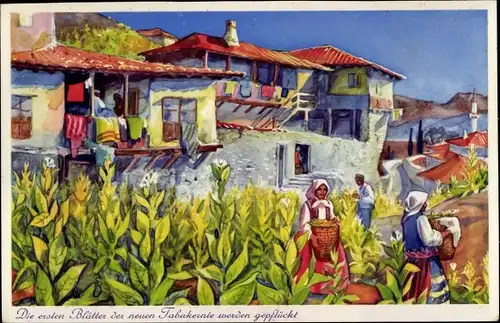 Künstler Ak Melnik Bulgarien, Tabakernte, Bauern, Häuser, Balkone
