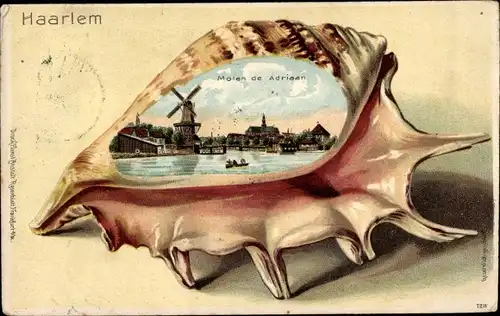 Präge Muschel Litho Haarlem Nordholland Niederlande, Molen de Adriaan