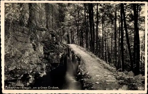 Ak Pobershau Marienberg im Erzgebirge, Partie am grünen Graben, Waldweg, Felsformation, Bach