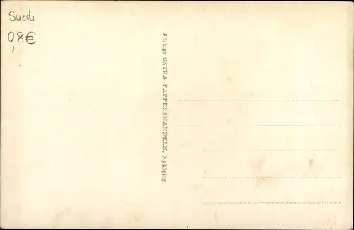 Ak Nyköping Schweden, Slott