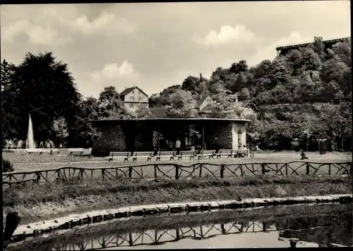 Ak Bad Kösen Naumburg an der Saale, Im Tierpark