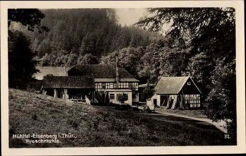 Ak Eisenberg Thüringen, Blick auf die Froschmühle