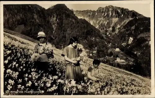Ak Montreux Kanton Waadt Schweiz, Champ de Narcisses