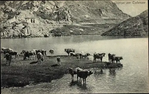 Ak Kanton Bern Schweiz, Grimsel am Todensee