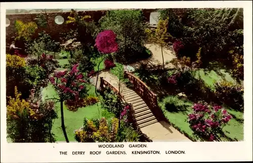 Ak Kensington London England, The Derry Roof Gardens, Woodland Garden