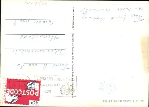 3 D Ak Roses before lattice, rote Rosen