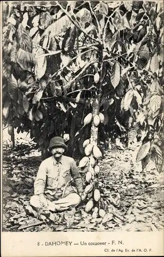 Ak Dahomey Benin, Un cocaoyer, Kakao Baum