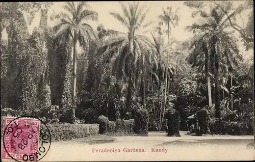 Ak Kandy Sri Lanka Ceylon, Peradeniya Gardens