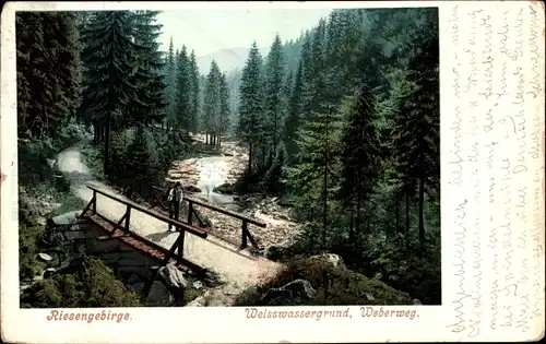 Ak Riesengebirge Region Königgrätz, Bílé Labe, Weiße Elbe, Weißwasser, Weißwassergrund
