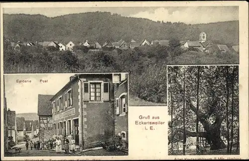Ak Eckartswiller Eckartsweiler Elsass Bas Rhin, Panorama, Epicerie, Post, Kastanienbaum