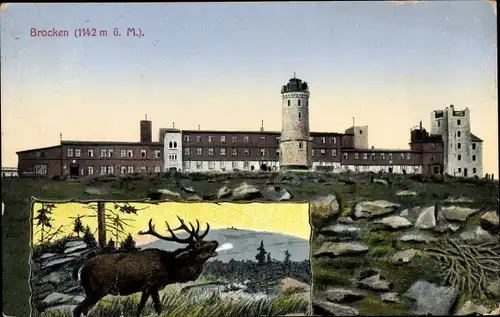 Ak Brocken Nationalpark Harz, Unterkunftshaus, Turm, Hirsch