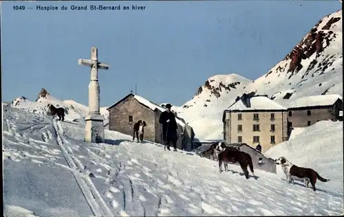 Ak Kanton Wallis, Hospice du Grand St-Bernard, Winterszene, Hunde