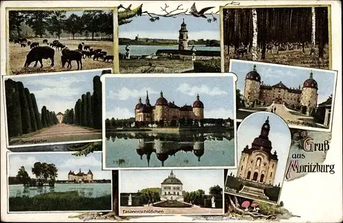 Ak Moritzburg in Sachsen, Jagdschloss, Wildschweinfütterung, Fasanenschlößchen, Leuchtturm