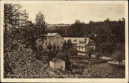 Ak Weistropp Klipphausen in Sachsen, Genesungsheim Tännichtmühle, Wald