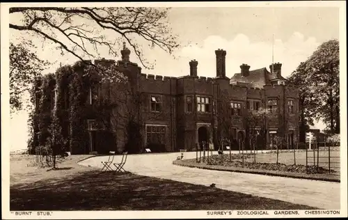 Ak Chessington Kingston upon Thames London England, Surrey's Zoological Gardens