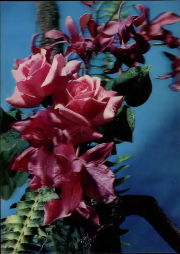 3 D Ak Roses and Orchids, Rosen, Orchideen, Farn, Blumengesteck