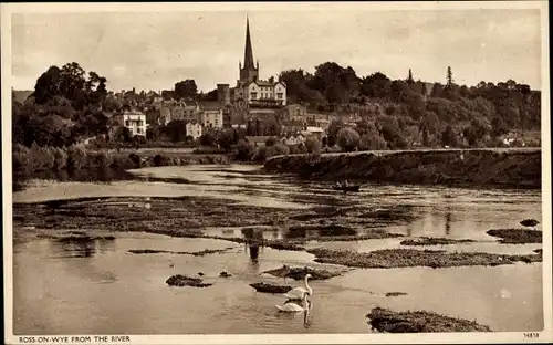 Ak Ross on Wye Herefordshire England, from the River, Kirche, Schwäne