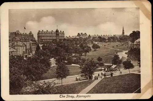 Ak Harrogate Yorkshire England, The Stray