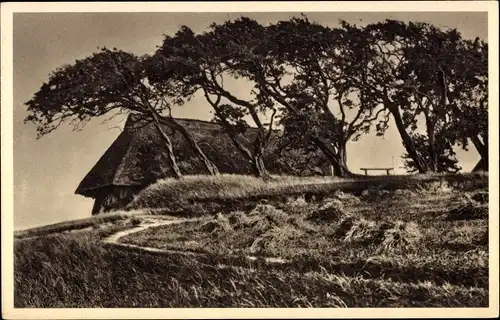 Ak Ostseebad Ahrenshoop Fischland, Dornenhaus, Fotograf Fritz Wegscheider