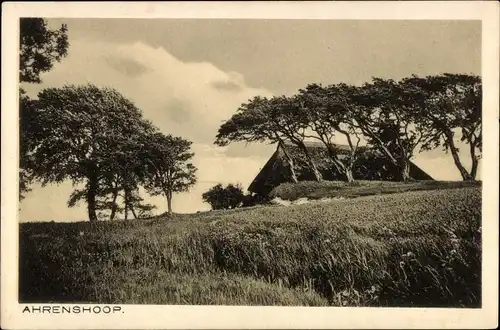 Ak Ostseebad Ahrenshoop Fischland, Reetdachhaus