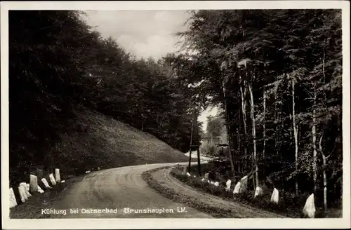 Ak Ostseebad Brunshaupten Kühlungsborn, Kühlung, Straßenpartie im Wald