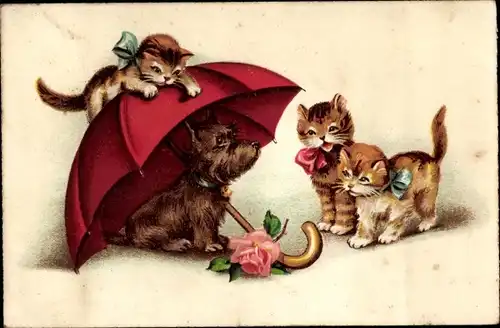 Ak Drei junge Katzen, Terrier unter einem Schirm, Rose