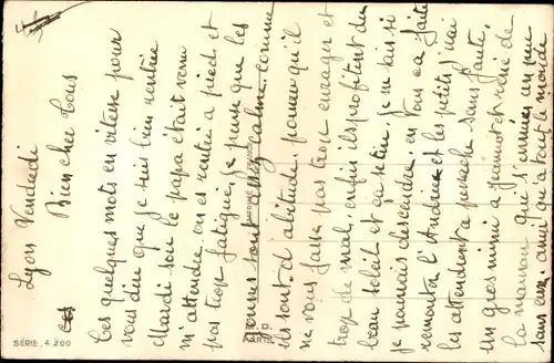 Ak Drei junge Katzen, Terrier unter einem Schirm, Rose