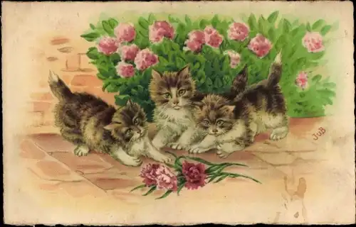 Ak Drei junge Katzen, Nelken