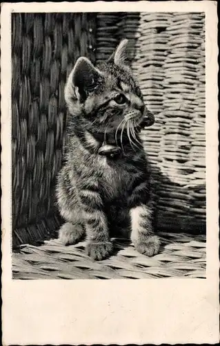 Ak Junge Katze in einem Korb