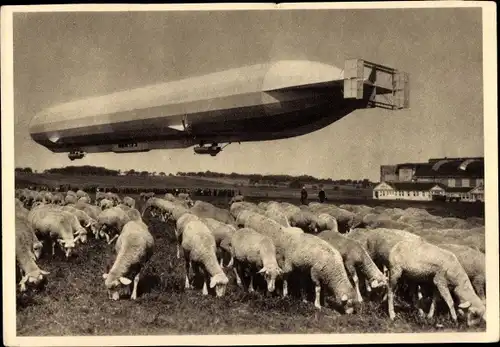 Ak Zeppelin-Luftschiff LZ-10 Schwaben in der Luft, Schafsherde