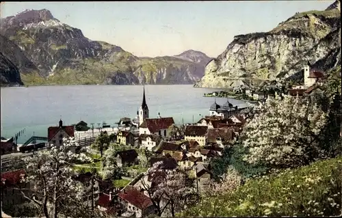 Ak Flüelen Kanton Uri Schweiz, Vierwaldstättersee