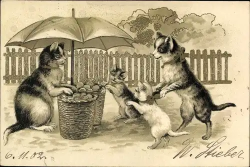 Litho Vermenschlichte Katzen, Marktstand