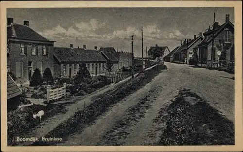 Ak Bruinisse Zeeland, Boomdijk