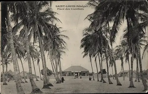 Ak Saint Louis Senegal, Place des Cocotiers, Palmen