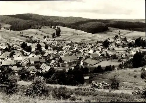 Ak Erlau Schleusingen in Thüringen, Panorama