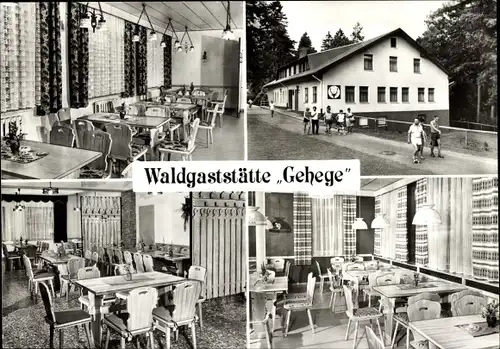 Ak Brotterode in Thüringen, Waldgaststätte Gehege, Innen und Außen