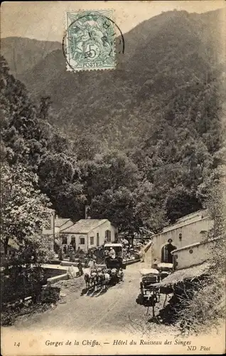 Ak Gorges de la Chiffa Algerien, Hotel du Ruisseau des Singes