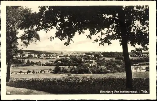 Ak Friedrichstanneck Eisenberg in Thüringen, Panorama