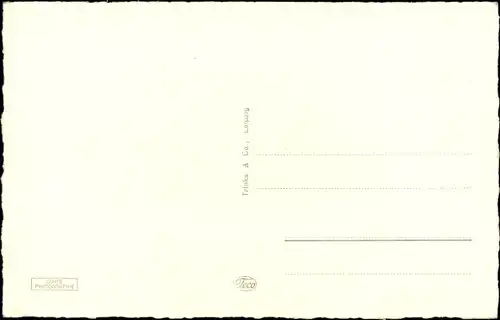 Ak Friedrichstanneck Eisenberg in Thüringen, Panorama