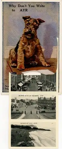 Leporello Ak Ayr Schottland, Terrier, Burns Statue Square, Neads of Ayr