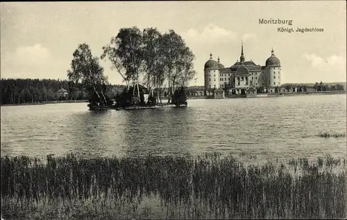 Ak Moritzburg in Sachsen, Königl. Jagdschloss