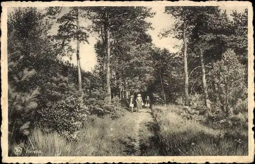 Ak Zutendaal Flandern Limburg, Waldweg, Spaziergänger