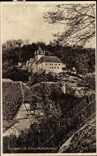 Ak Liebstadt im Erzgebirge, Blick auf Schloss Kuckuckstein