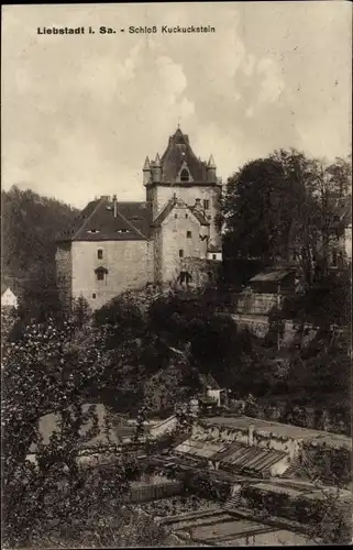 Ak Liebstadt Erzgebirge Sachsen, Schloss Kuckuckstein