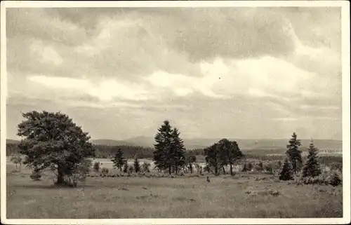 Ak Hermannsdorf Elterlein im Erzgebirge, Sächsische Naturschutzgebiete, Wiesen