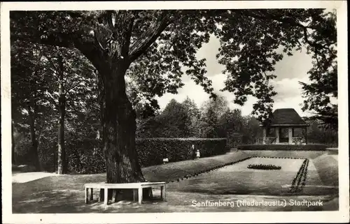 Ak Senftenberg in der Niederlausitz, Partie im Stadtpark