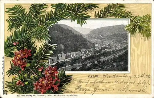 Präge Künstler Passepartout Ak Calw im Schwarzwald, Panorama